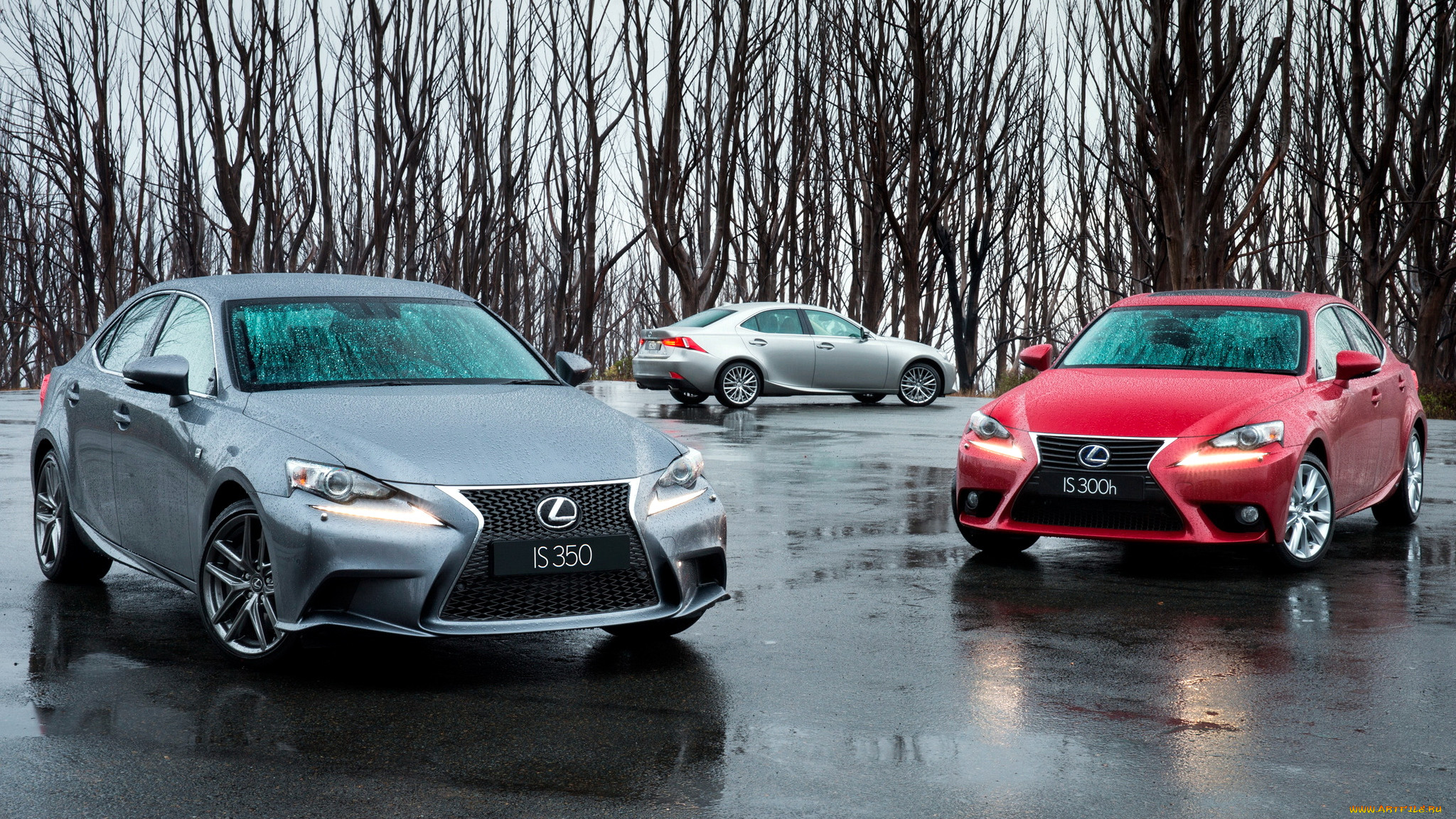 lexus, is, , toyota, motor, -, 